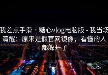 我差点手滑 · 糖心vlog电脑版 - 我当场清醒：原来是假官网镜像，看懂的人都躲开了