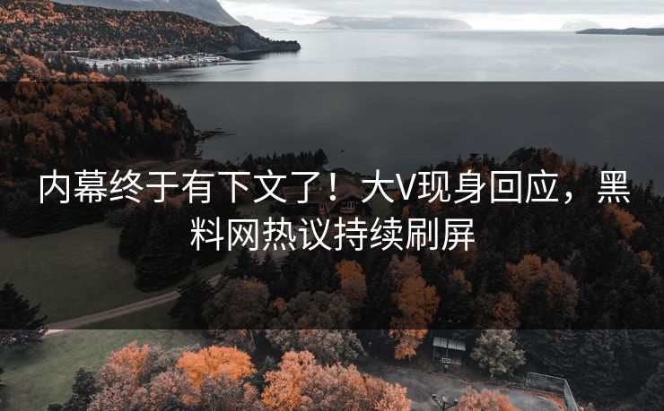 内幕终于有下文了！大V现身回应，黑料网热议持续刷屏