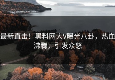 最新直击！黑料网大V曝光八卦，热血沸腾，引发众怒