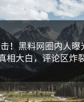 深夜直击！黑料网圈内人曝光丑闻，真相大白，评论区炸裂