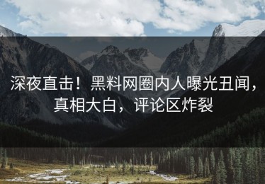 深夜直击！黑料网圈内人曝光丑闻，真相大白，评论区炸裂