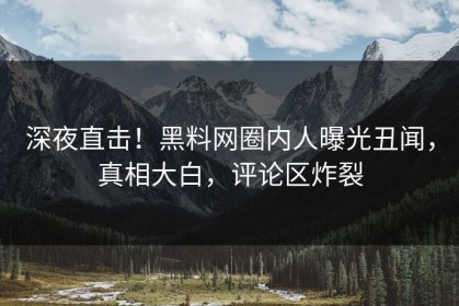 深夜直击！黑料网圈内人曝光丑闻，真相大白，评论区炸裂