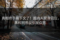 真相终于有下文了！圈内人现身回应，黑料网热议引发众怒