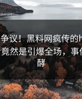 大V回应争议！黑料网疯传的heiliaowang背后竟然是引爆全场，事件持续发酵
