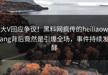 大V回应争议！黑料网疯传的heiliaowang背后竟然是引爆全场，事件持续发酵
