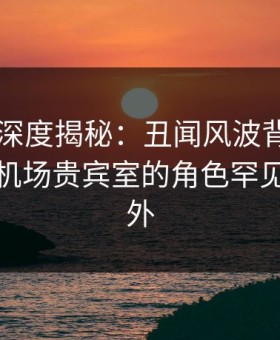 51爆料深度揭秘：丑闻风波背后，神秘人在机场贵宾室的角色罕见令人意外