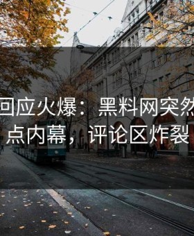 神秘人回应火爆：黑料网突然爆出热点内幕，评论区炸裂