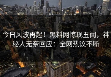今日风波再起！黑料网惊现丑闻，神秘人无奈回应：全网热议不断