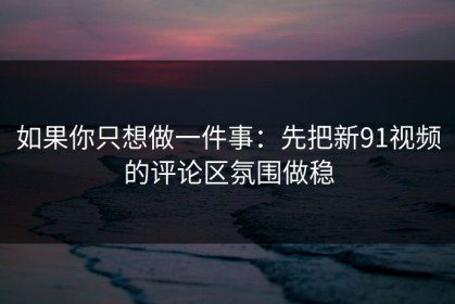 如果你只想做一件事：先把新91视频的评论区氛围做稳