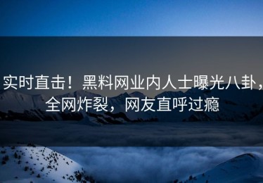 实时直击！黑料网业内人士曝光八卦，全网炸裂，网友直呼过瘾
